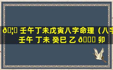 🦅 壬午丁未戊寅八字命理（八字 壬午 丁未 癸巳 乙 🐛 卯）